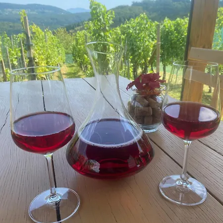 Ferienhaus Zidanica Zorc Dolenjske Toplice