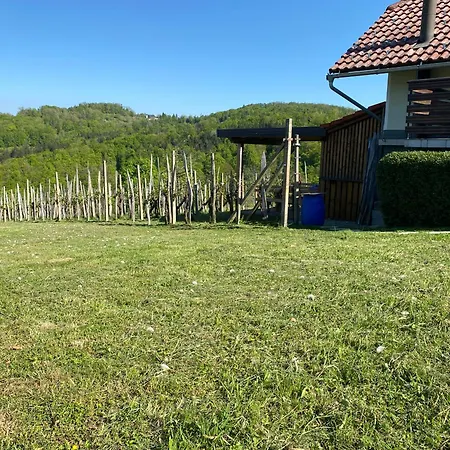 Zidanica Zorc Ferienhaus Dolenjske Toplice